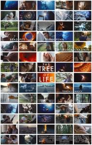 tree of life