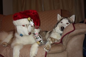 DrunkHuskies