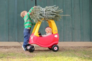 RayDChristmas Tree