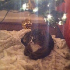 SquinkMas