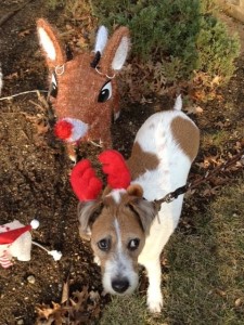 kellixmas9