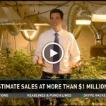 colorado pot sales