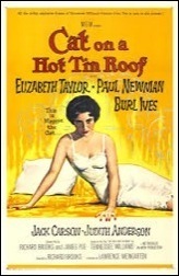 16Cat on a Hot Tin Roof