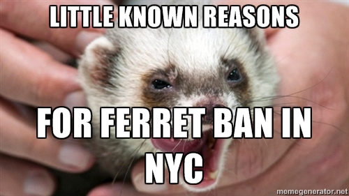ferretban0