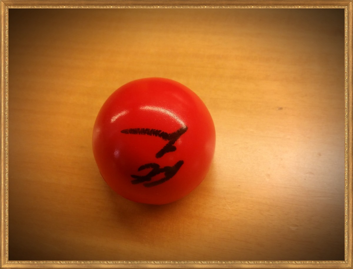 artie lange signed nose framed