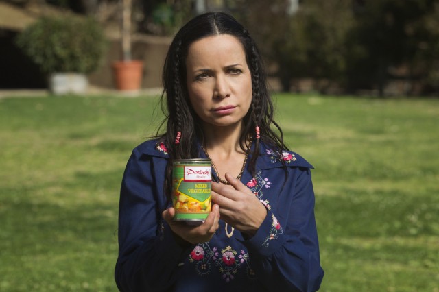 Netflix Releases Wet Hot American Summer Prequel Pictures janeane garofalo