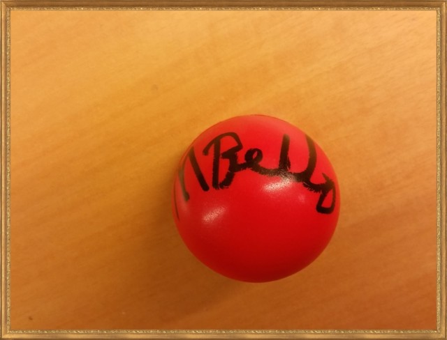 maria bello signed red nose day