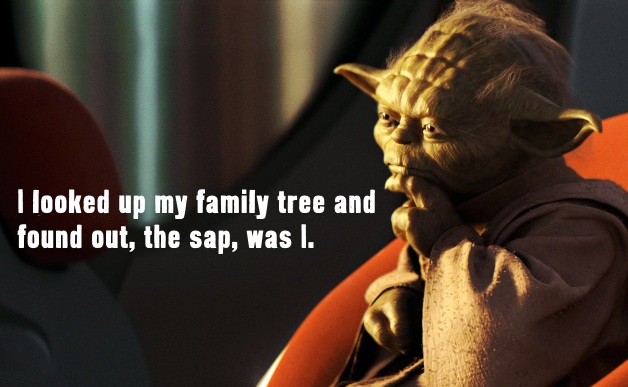 yoda-rodney-dangerfield