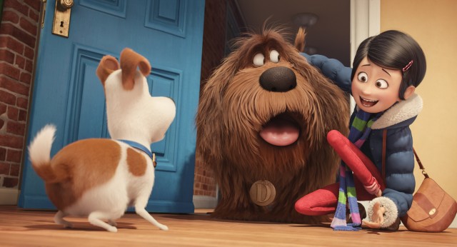 secret life of pets summer comedy movies